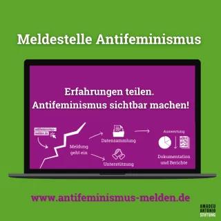 Lila Schaubild auf Laptop mit grünem Hintergrund. Caption "Meldestelle Antifeminismus. Erfahrungen teilen. Antifeminismus sichtbar machen! www.meldestelle-antifeminismus.de"